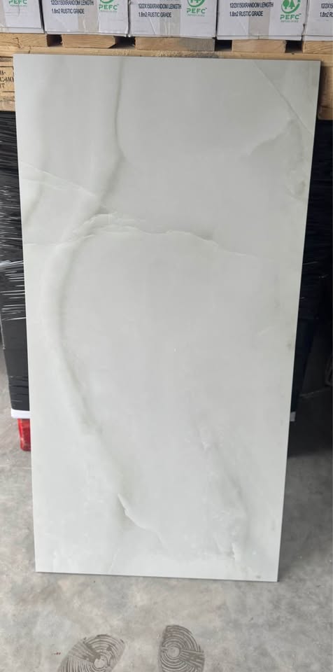 60m2 PALLET DEAL OPAL WHITE MATT 60X120 image 1