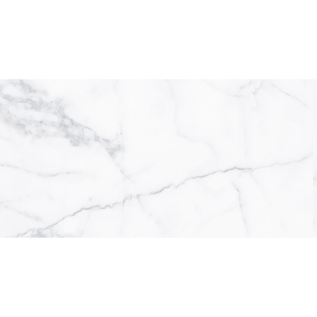 Alpine Carrara Marble 30x60 image 1