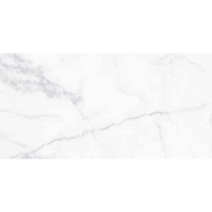 Alpine Carrara Marble 30x60 image 1
