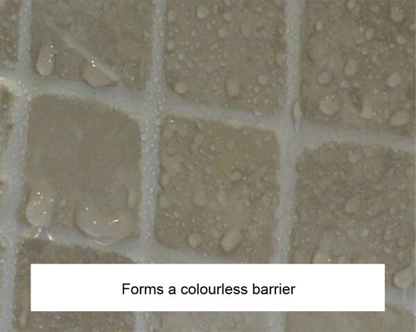 LTP Grout & Tile Protector image 4