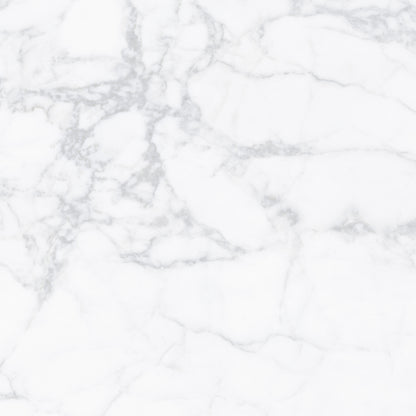 Alpine Carrara Marble 60x60 image 1