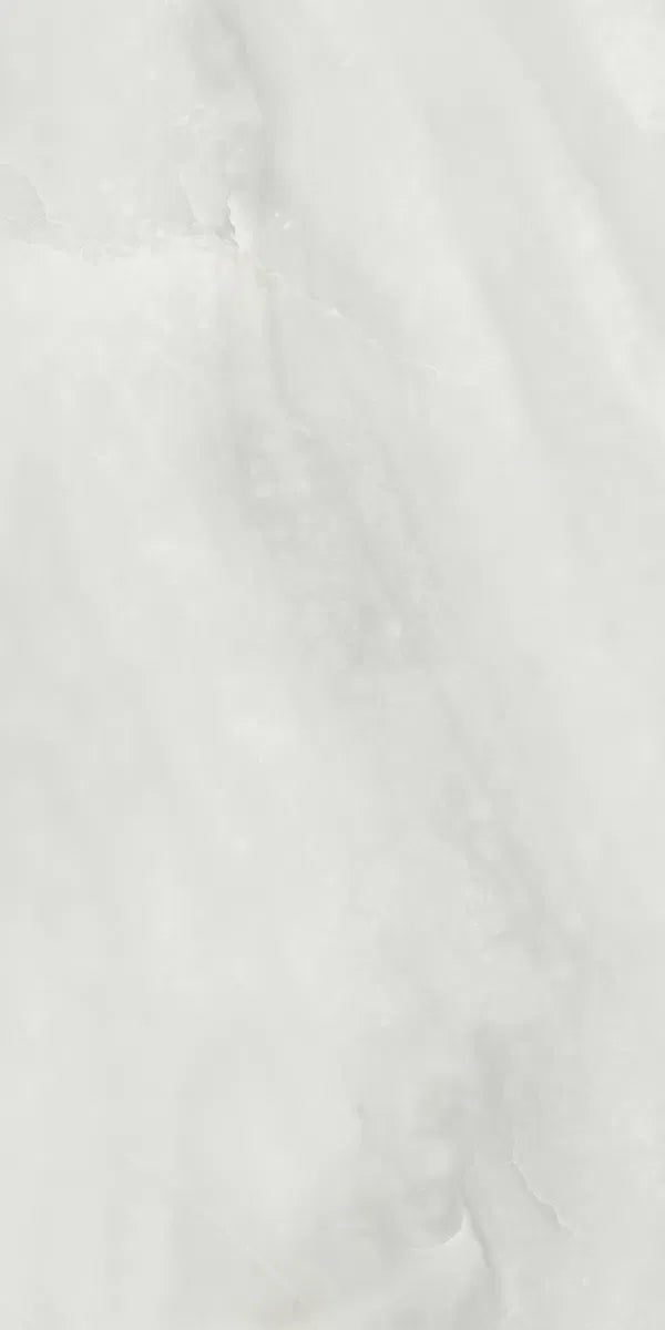 OPAL WHITE MATT 60X120 image 3