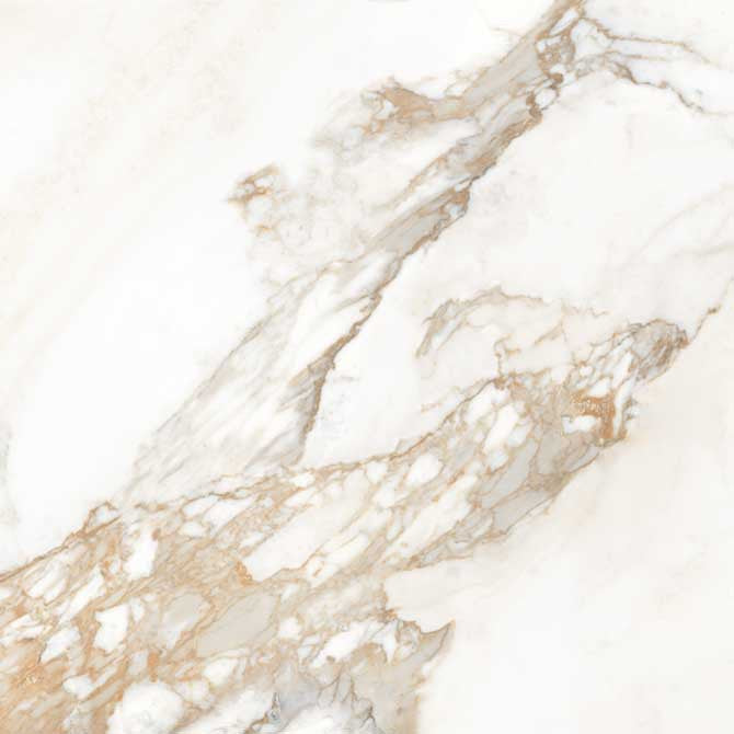 CALACATTA GOLD MATT 59,2x59,2 image 1
