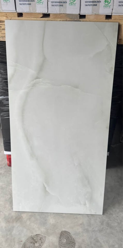 OPAL WHITE MATT 60X120 image 1