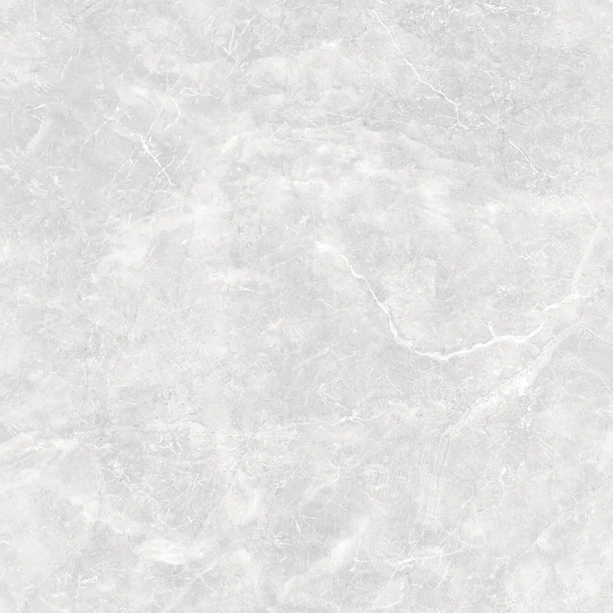 355 Polished 60x60 image 1