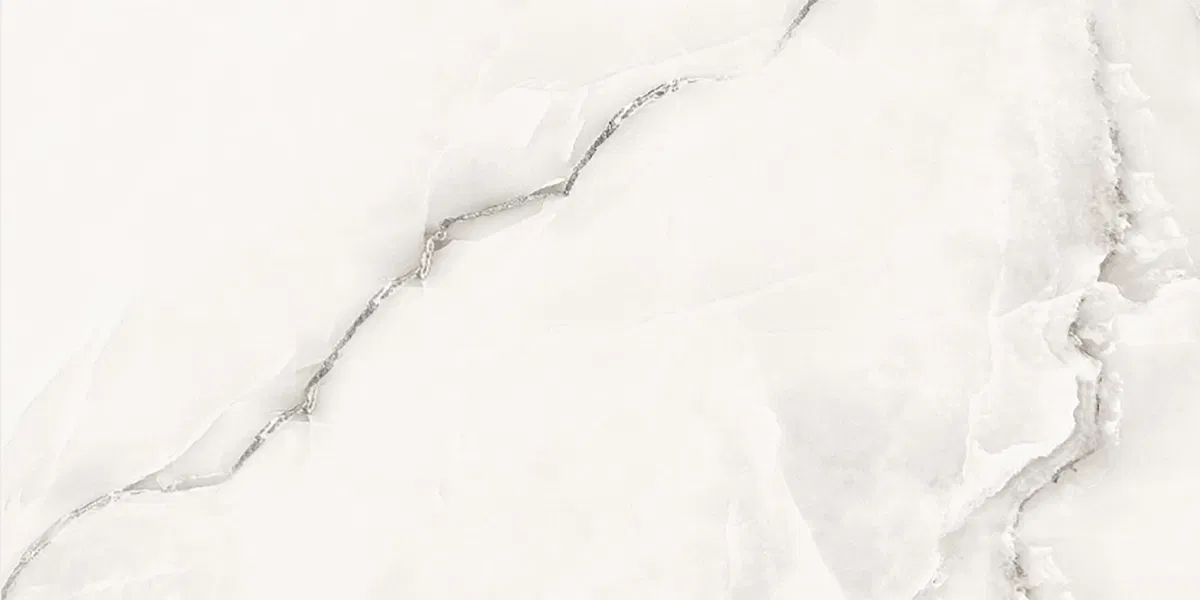 Venezia Onyx Grey Polished 60 x 120 image 1