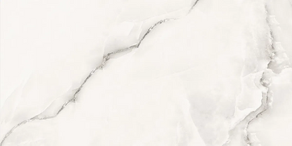 Venezia Onyx Grey Polished 60 x 120 image 1