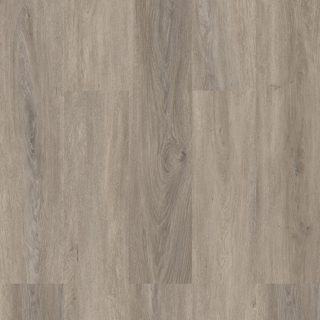 Close-up of Epping Teak Grey luxury click vinyl flooring featuring cool grey wood-effect wide planks with realistic oak grain detailing, subtle natural knot patterns and an embossed matt finish. Waterproof SPC rigid core flooring designed for modern homes.