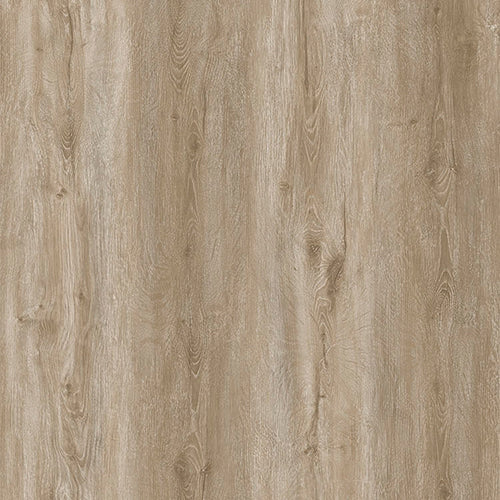 Close-up of Amazon Oak Luxury Click Vinyl Flooring 5mm, showcasing warm golden oak tones, authentic wood grain detailing, subtle natural knot patterns and a realistic embossed matt finish for a timeless wood-effect appearance.