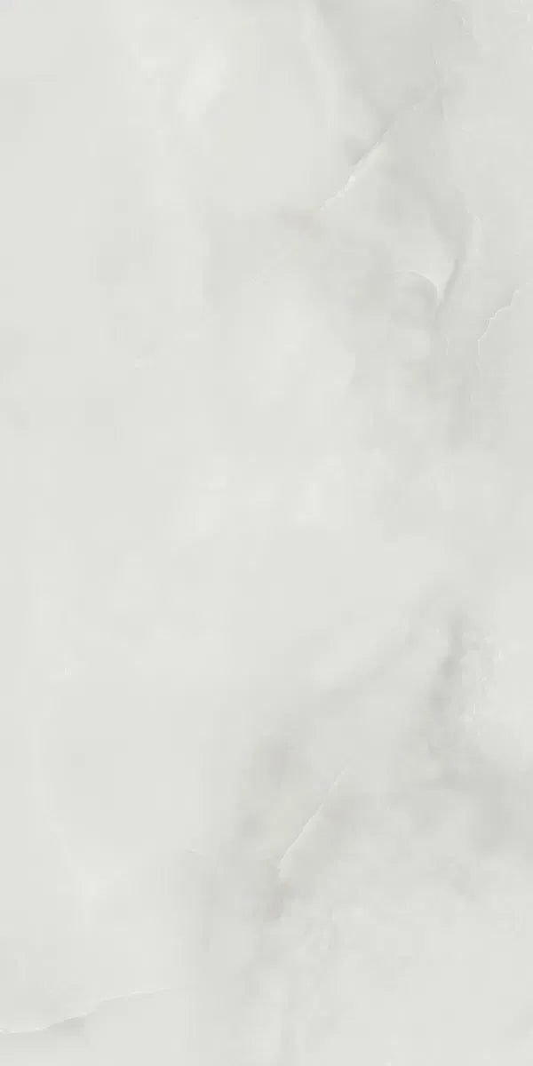OPAL WHITE MATT 60X120 image 2