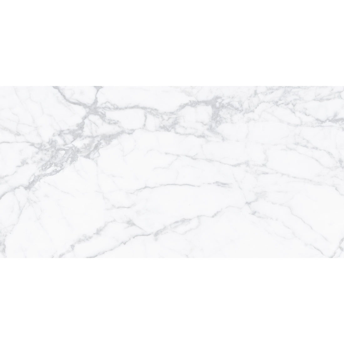 Alpine Carrara Marble 60x120 image 1