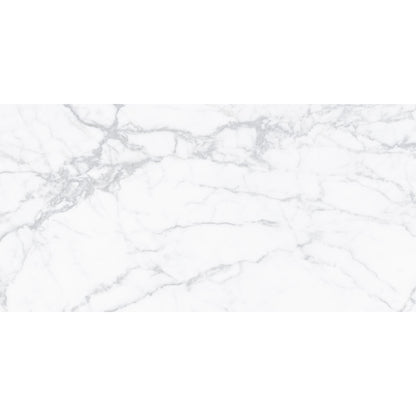 Alpine Carrara Marble 60x120 image 1